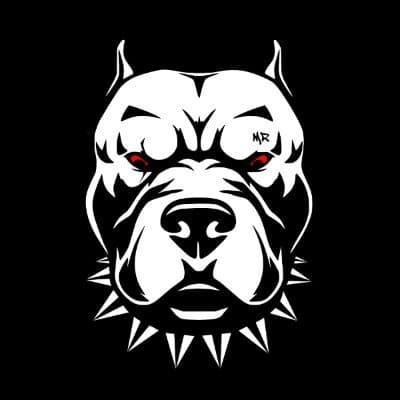 MetaRebelz (Advisors)